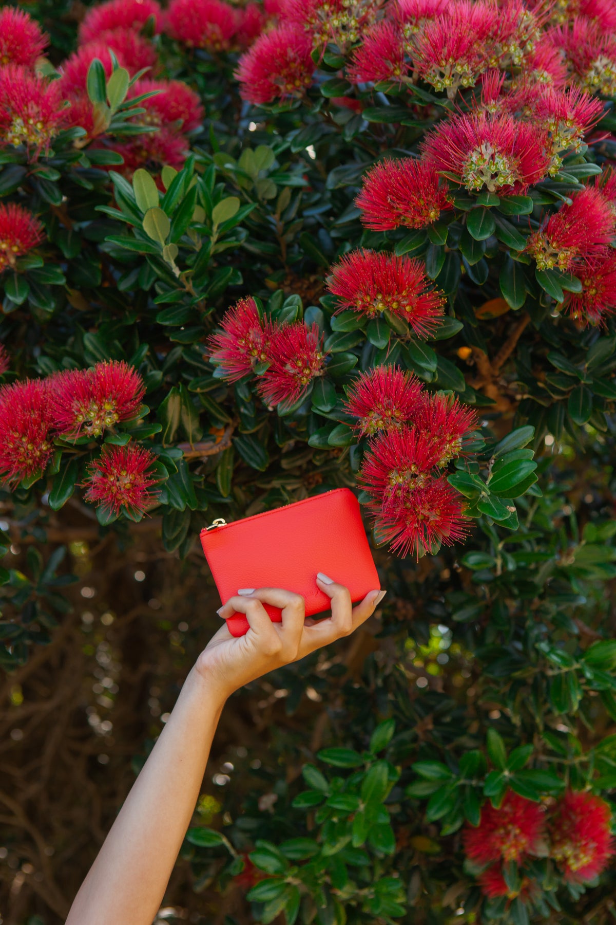 Mission Bay Wallet Coral