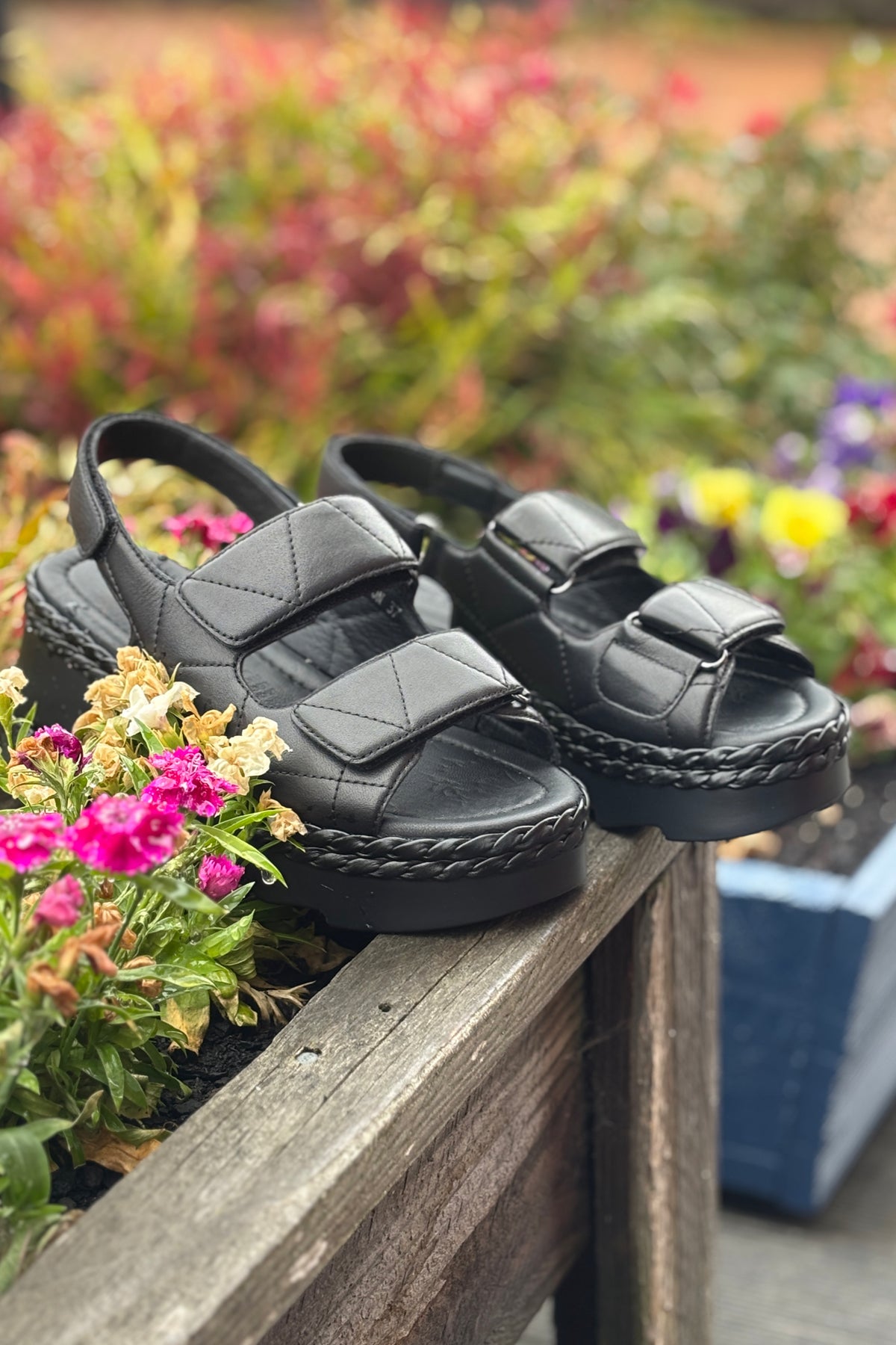 Suitation Black Sandal
