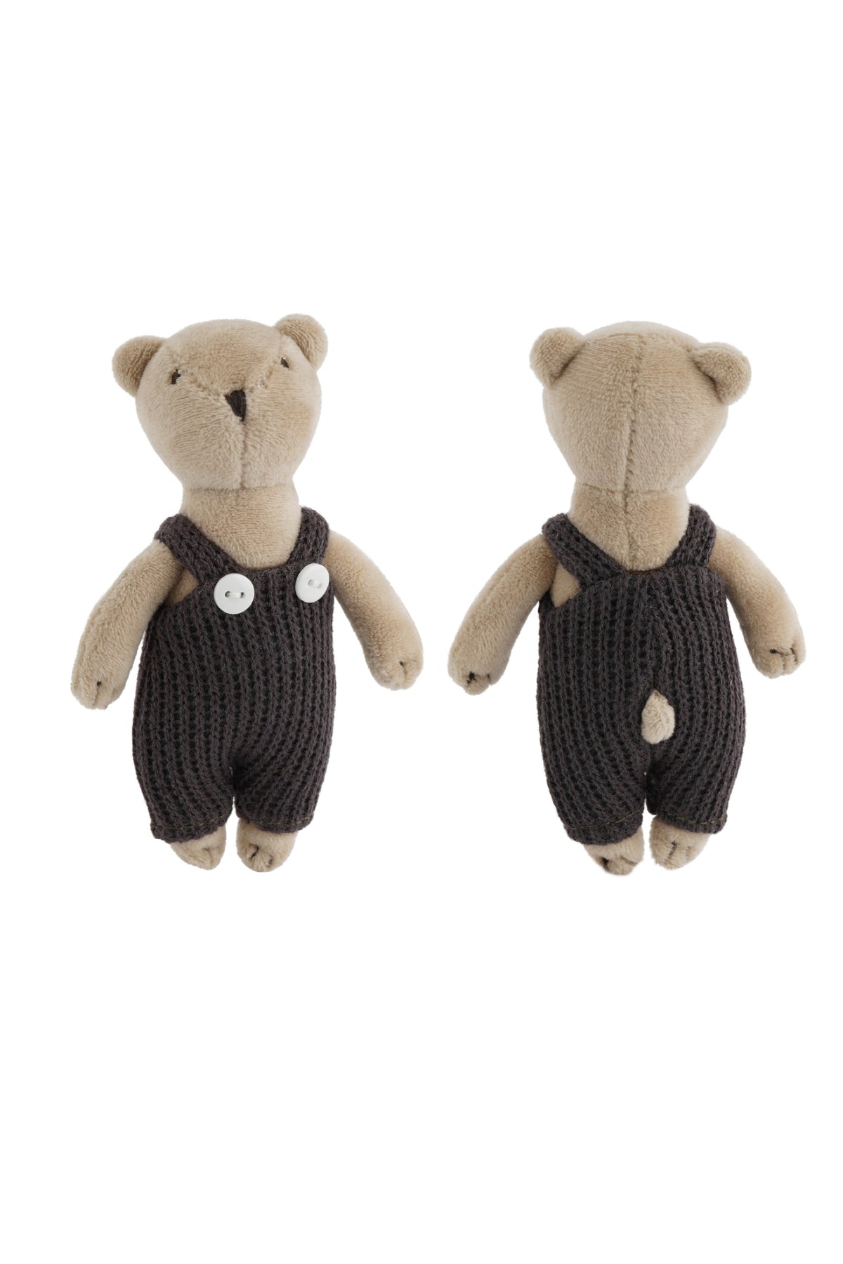 Wild Wanderers Bear Black