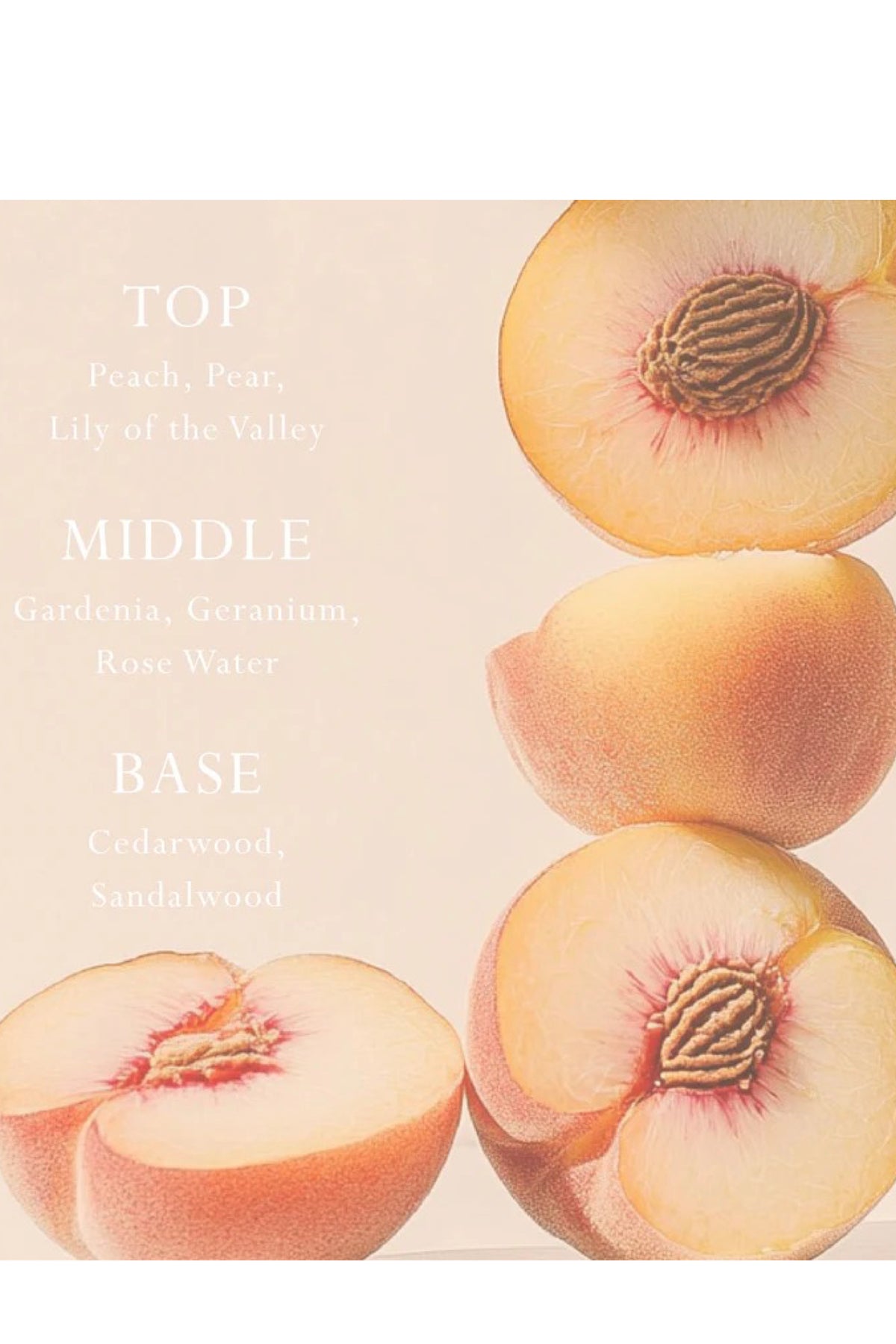 Mor Car Diffuser Peach Delight Fragrance Disc Refill