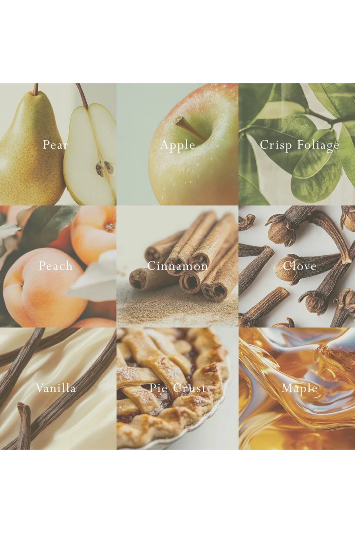 Mor Car Diffuser Italian Pear Fragrance Disc Refill