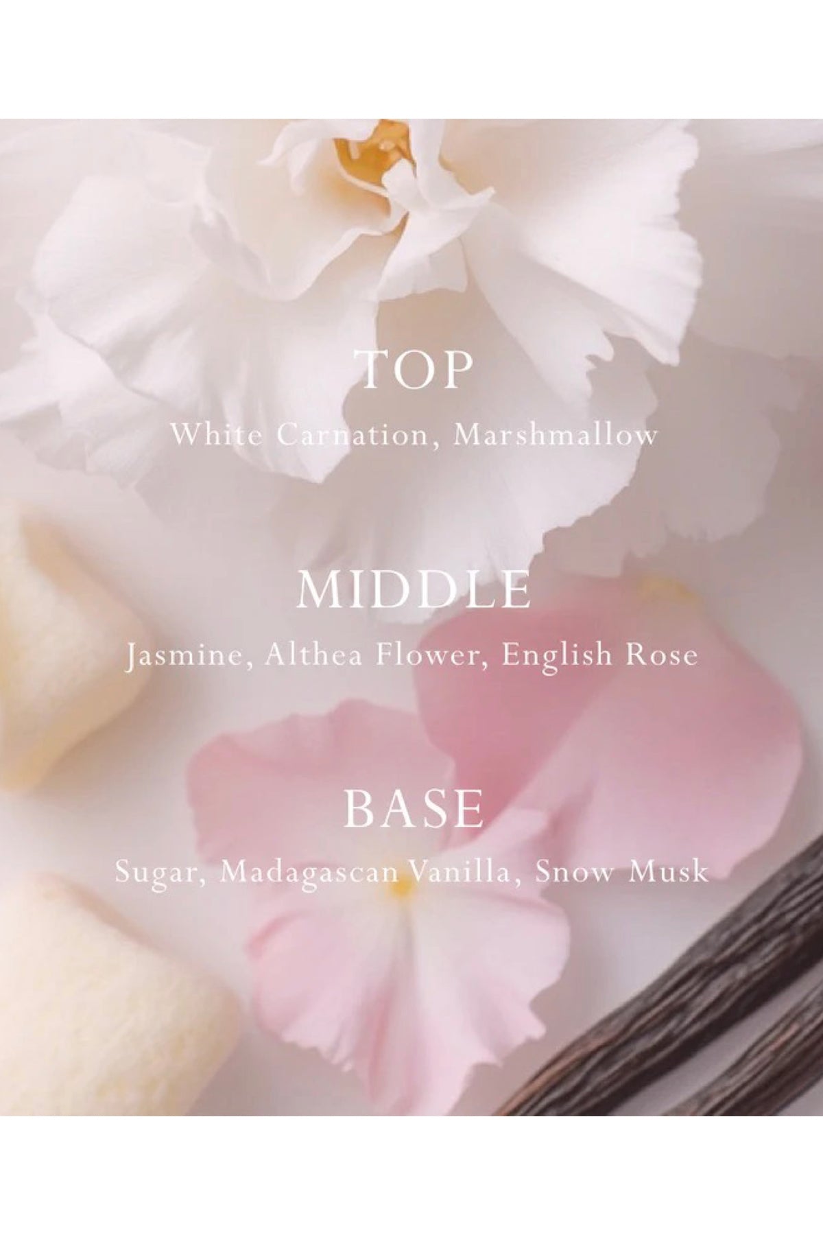 Mor Car Diffuser Marshmallow Fragrance Disc Refill