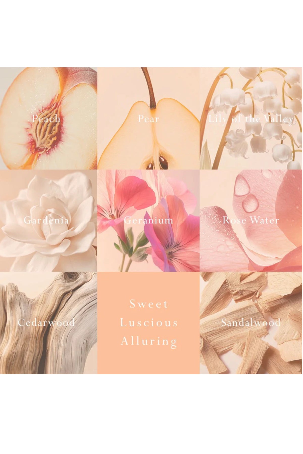 Mor Car Diffuser Peach Delight Fragrance Disc Refill