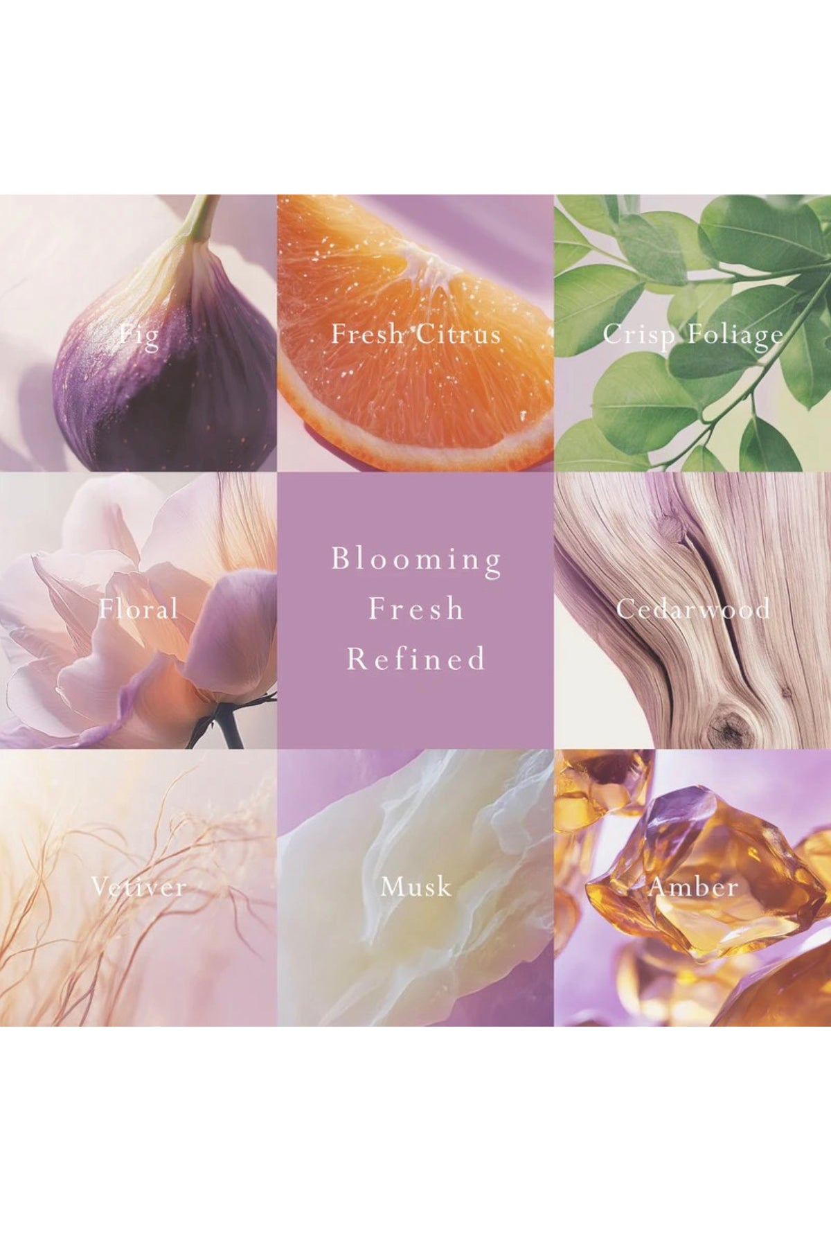 Mor Car Diffuser Primavera Fig Fragrance Disc Refill