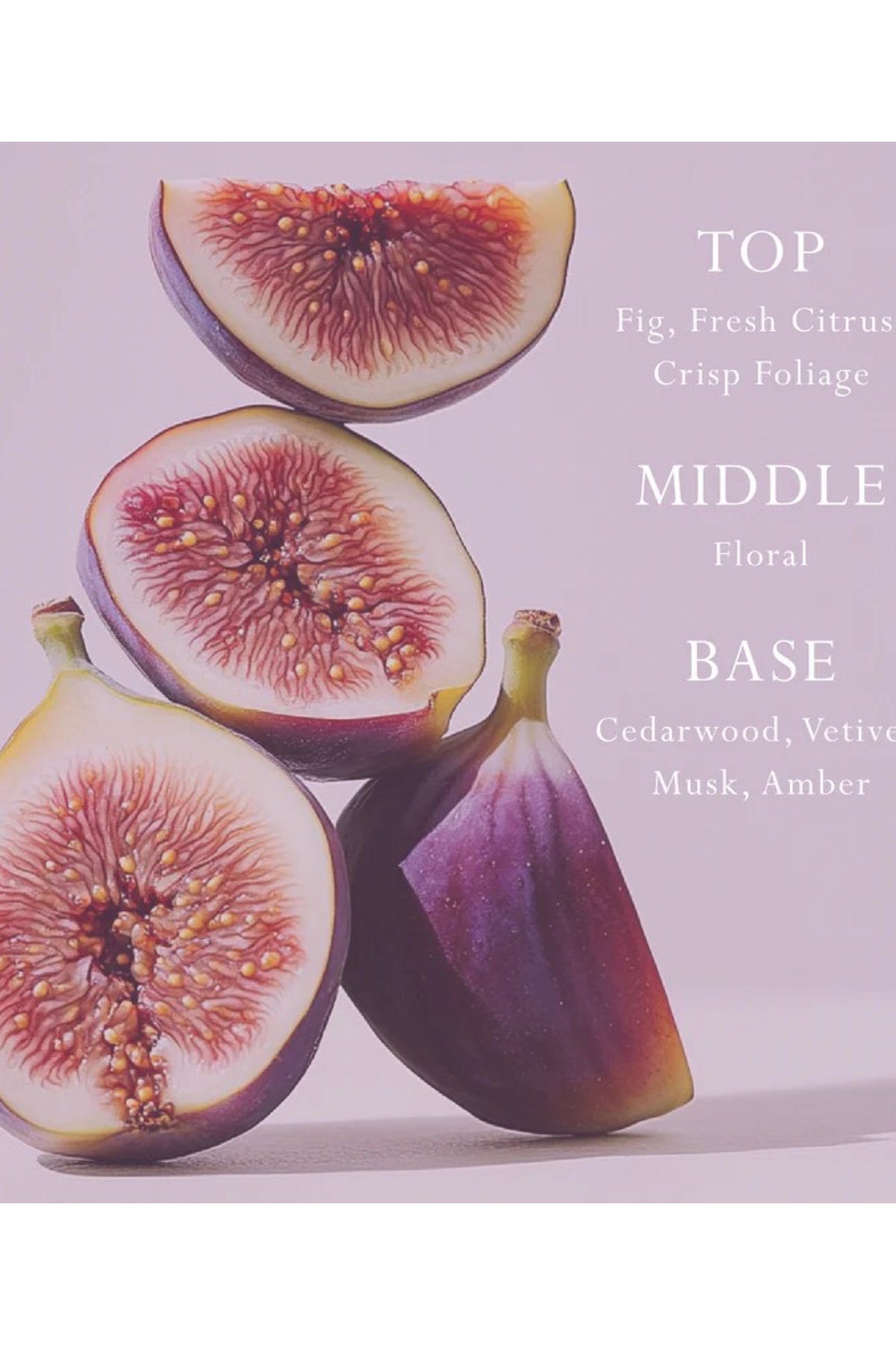 Mor Car Diffuser Primavera Fig