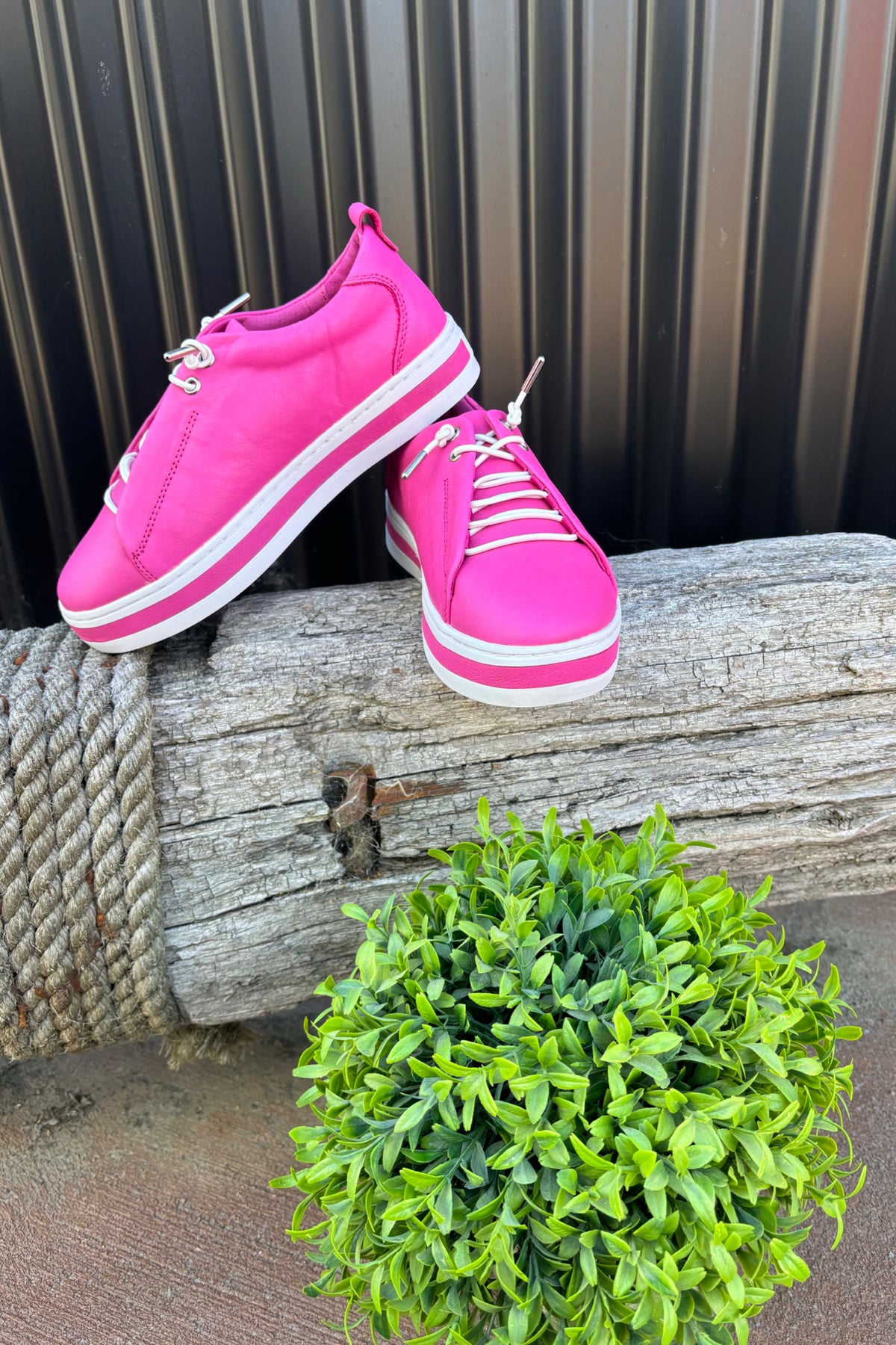 Paige Sneaker Hot Pink