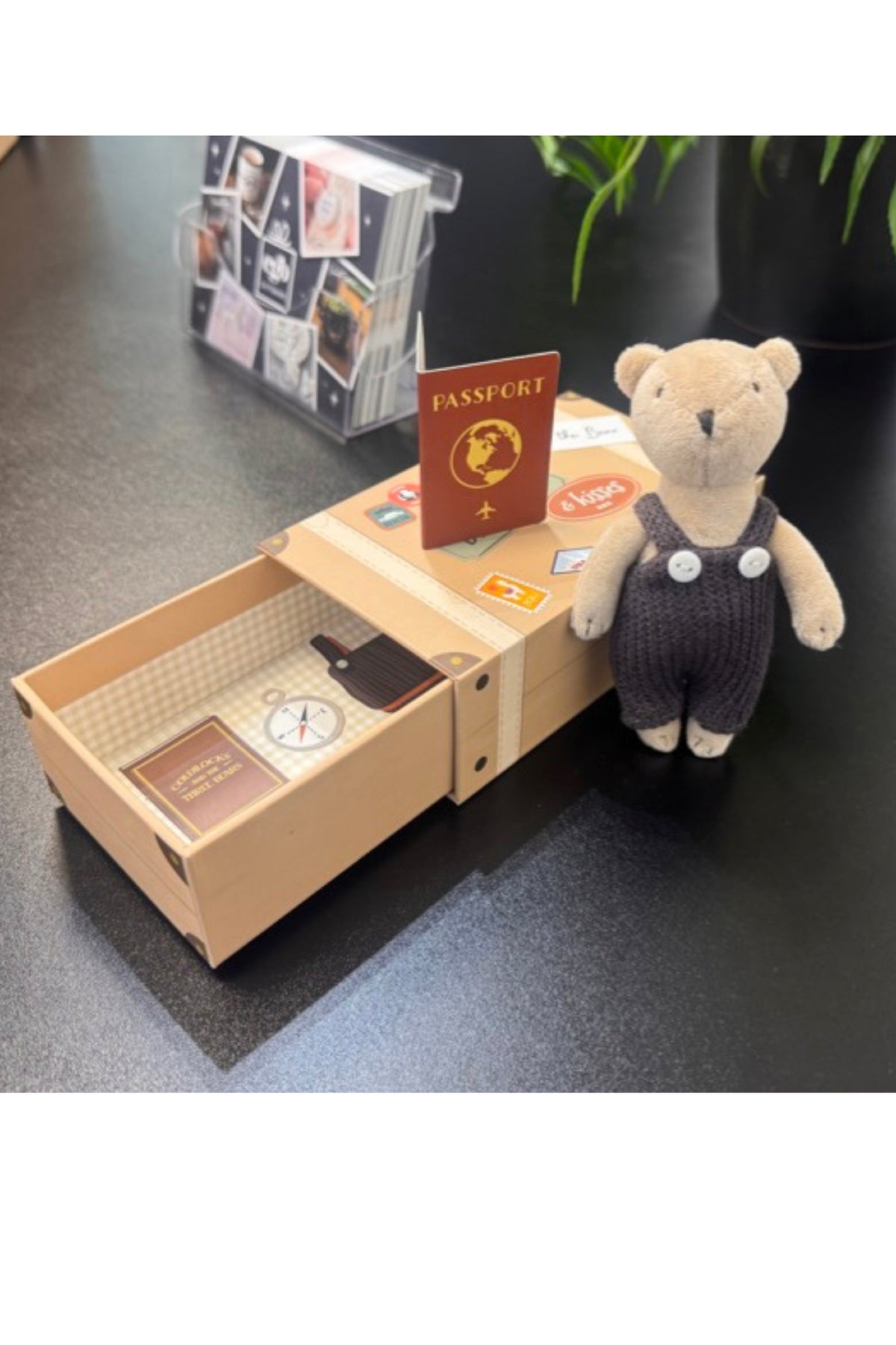 Wild Wanderers Bear Black