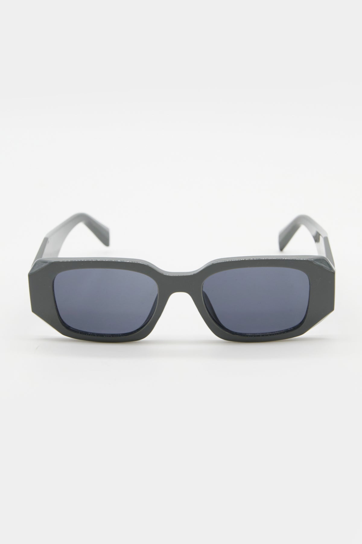 Brigitte Steel Sunglasses