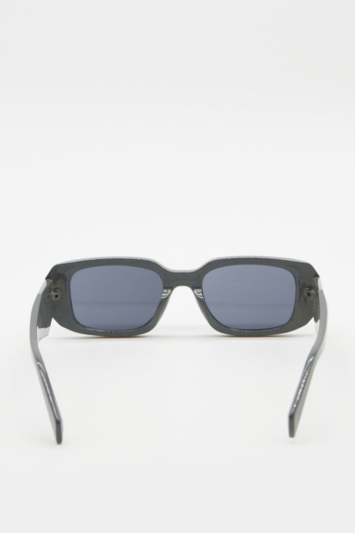 Brigitte Steel Sunglasses