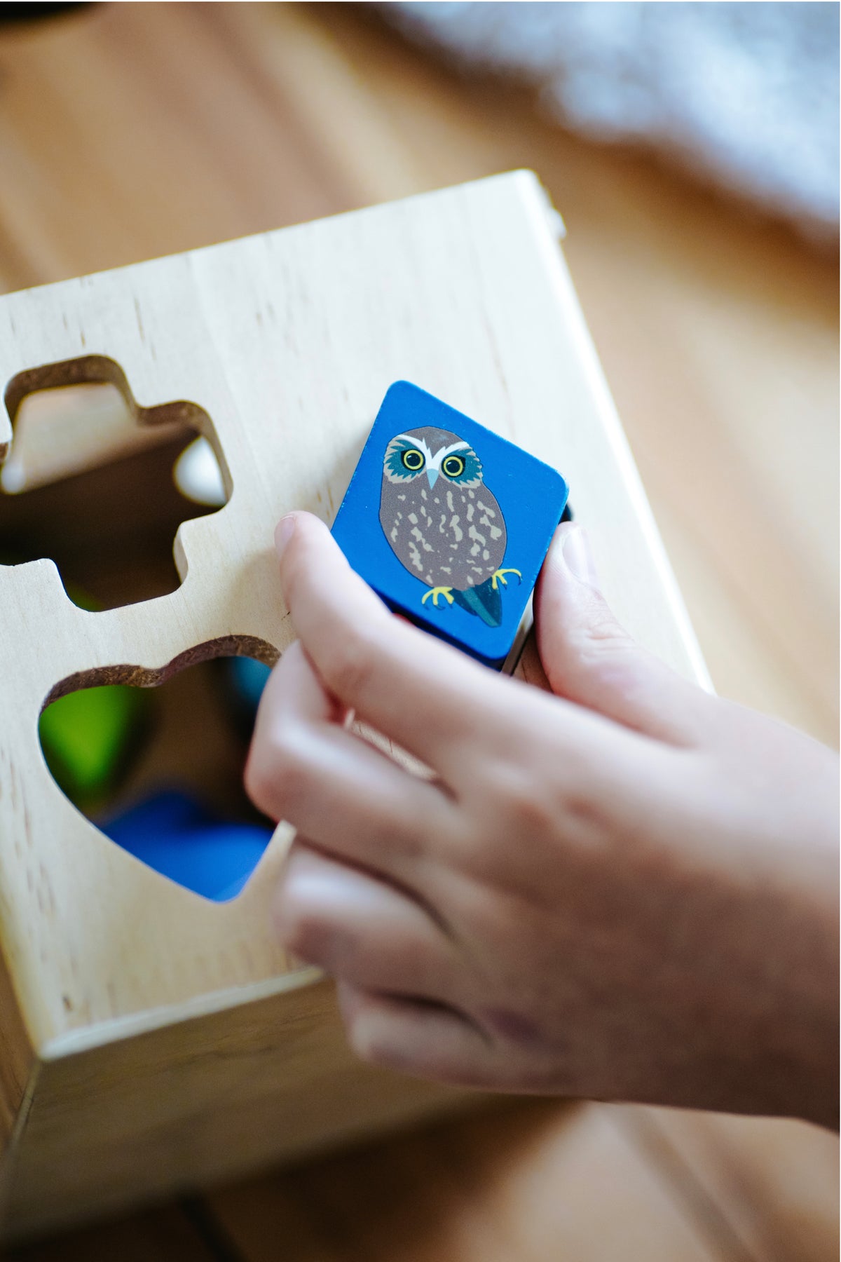 Shape Sorter