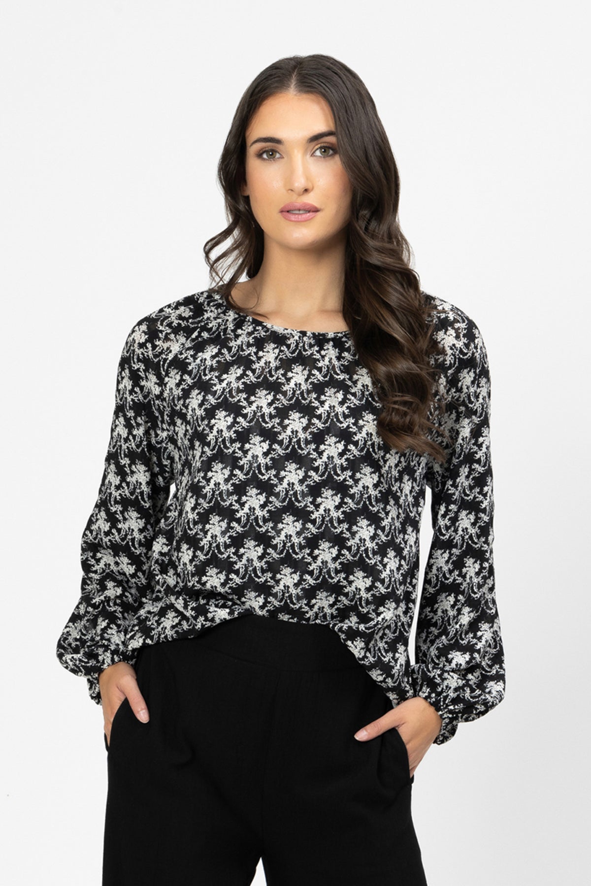 United Top Hydrangea - PREORDER DELIVERY