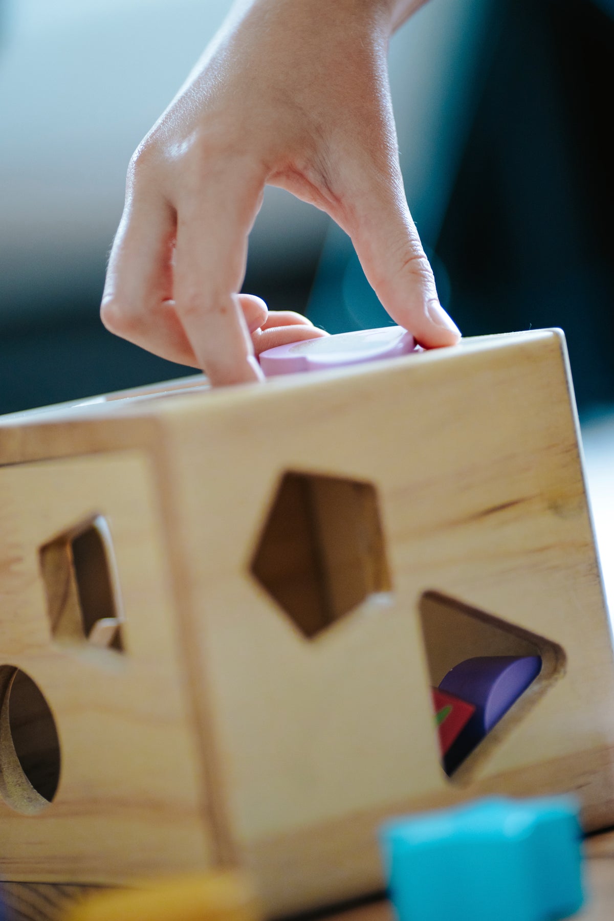 Shape Sorter