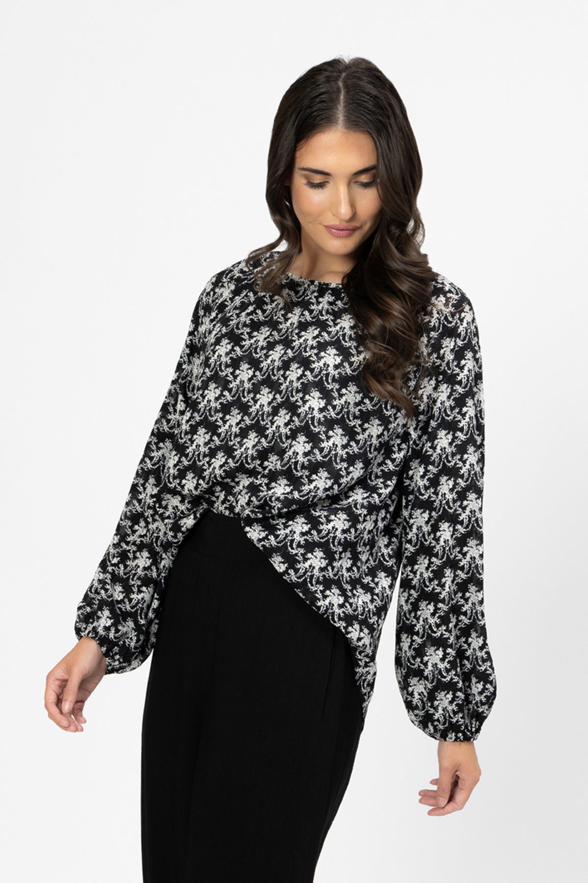 United Top Hydrangea - PREORDER DELIVERY