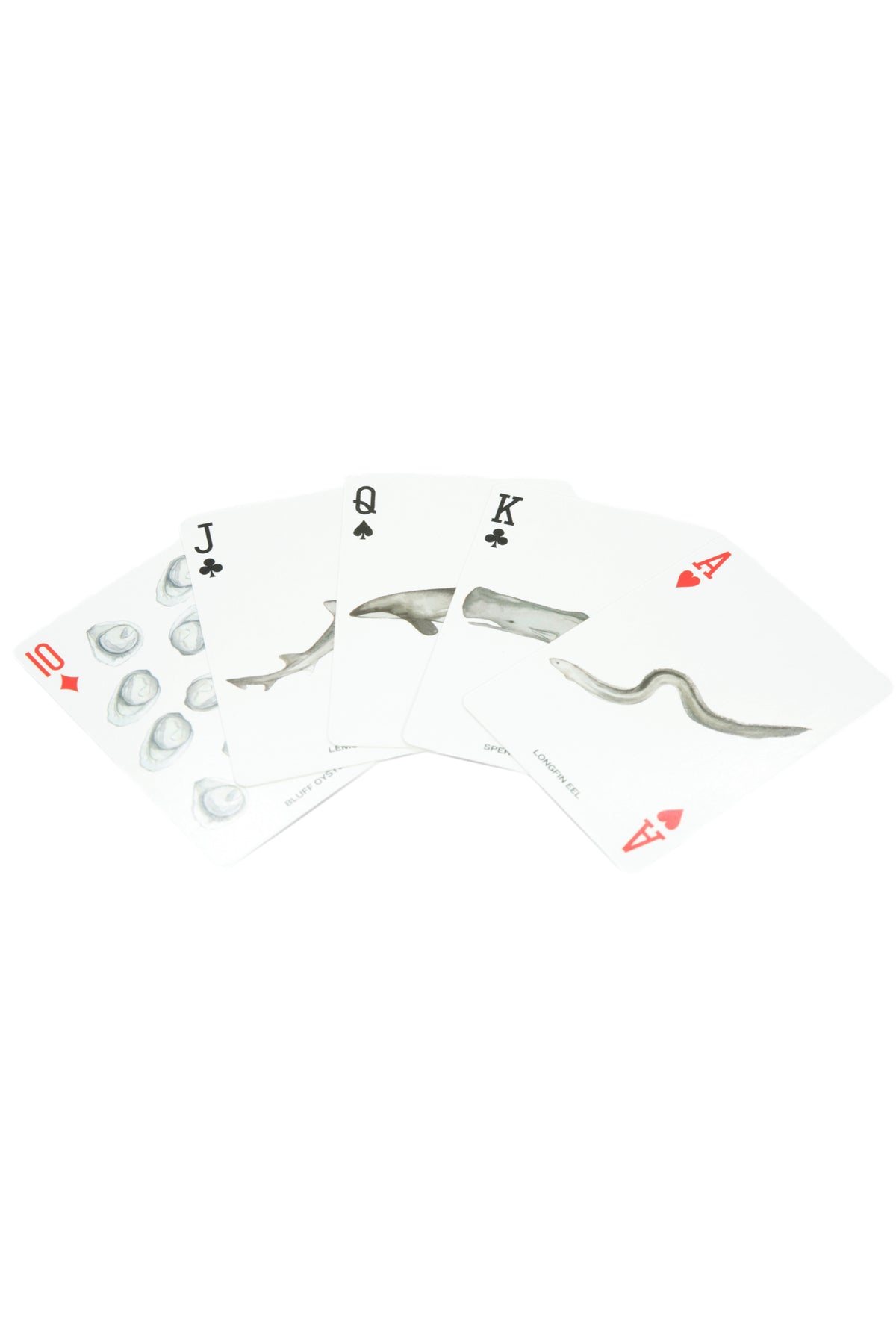 Playing Cards NZ Fishing