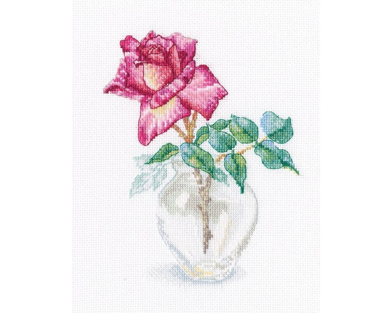 RTO X Stitch Excellence