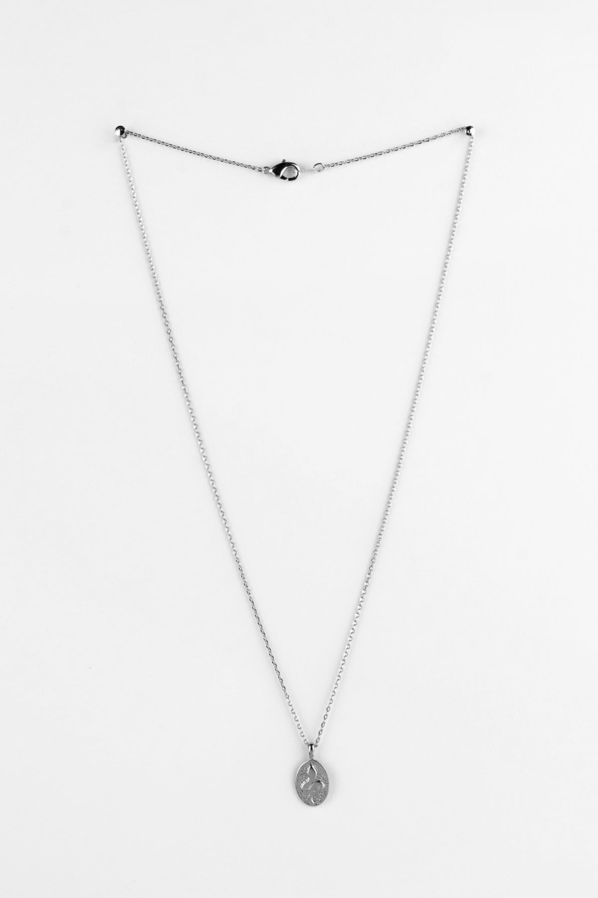 Oval Snake Pendant Necklace Silver